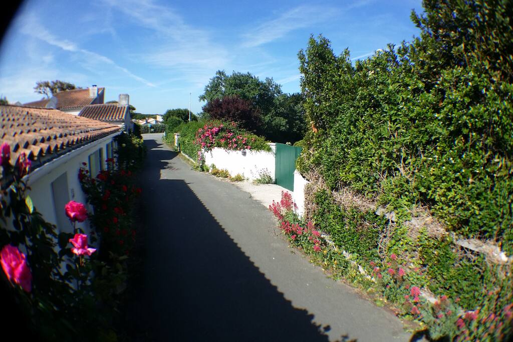 rue pietonne et vélos ,