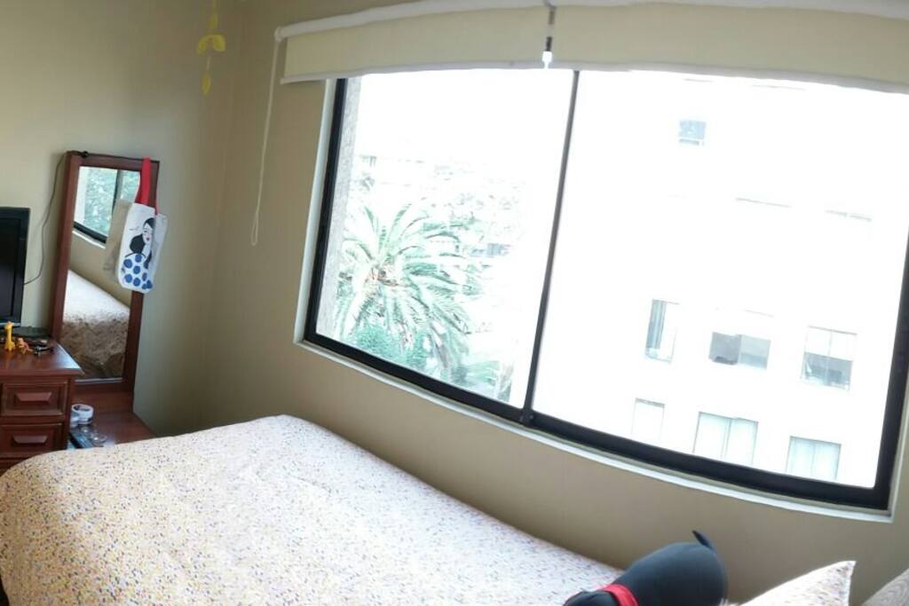 Habitación luminosa / Bright bedroom
