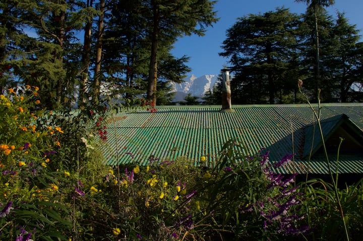Secluded heritage cottage in the mountains, McLeod