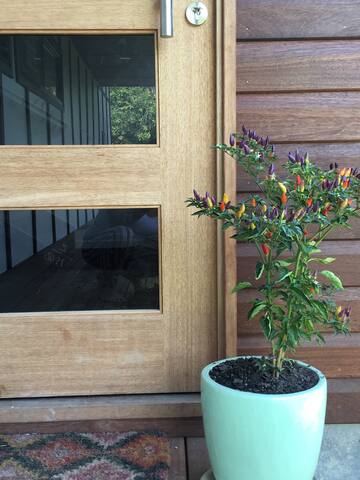 Large home with infared sauna and magnesium pool gallery image 4