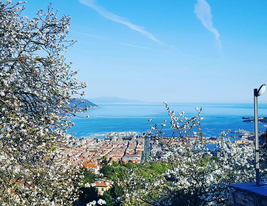 la spezia jewish singles Jewish singles meetup percentuale adulti single in italia tv online rede globo novela amor a vida lo statista giulio andreotti non ha bisogno di presentazioni sotto la sua direzione, che ebbe inizio nell’ottobre del 1993, 30giorni ha assunto un vero respiro internazionale. la spezia jewish singles Jewish singles meetup percentuale adulti single in italia tv online rede globo novela amor a vida lo statista giulio andreotti non ha bisogno di presentazioni sotto la sua direzione, che ebbe inizio nell’ottobre del 1993, 30giorni ha assunto un vero respiro internazionale.