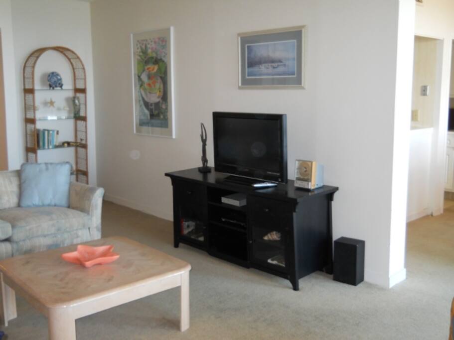 Living Area w/ Flat screen TV