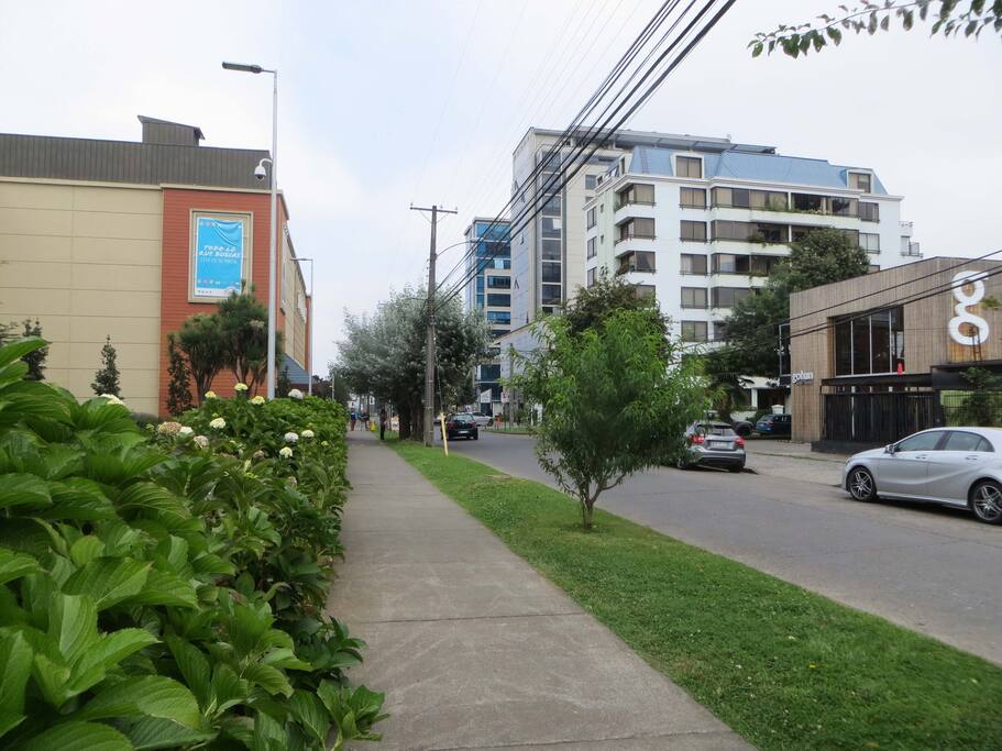 frente el edificio