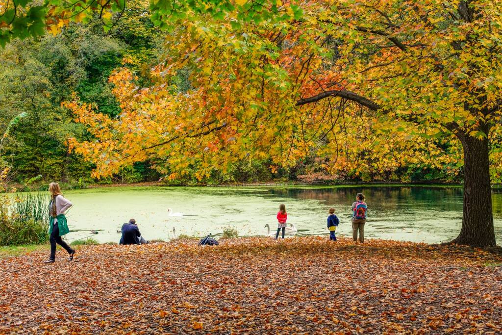 Prospect park - you can run, walk, bicycle, ice skate, barbeque, sit on the lake, kayak, visit the Botanical Gardens and more!