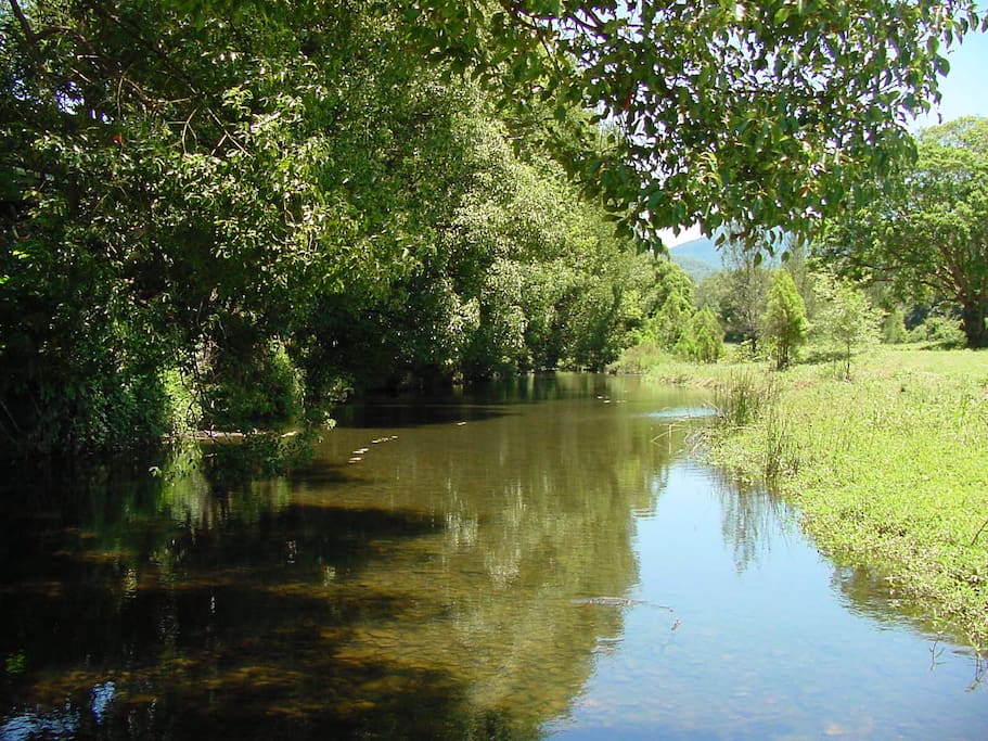 Set right by Crystal Creek bounding with wildlife