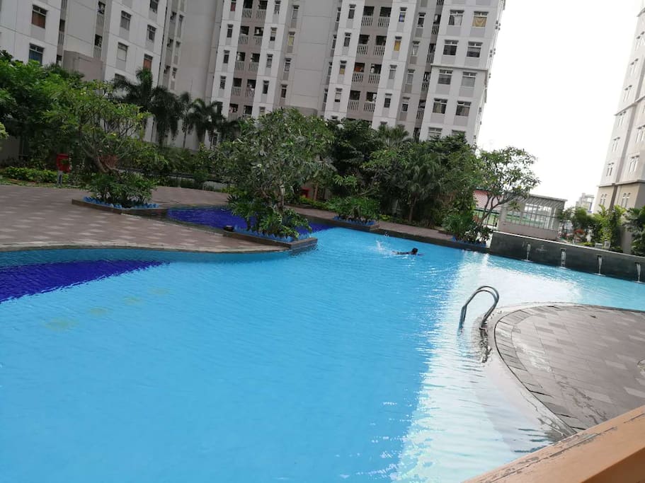 apartment swimming pool (any time)