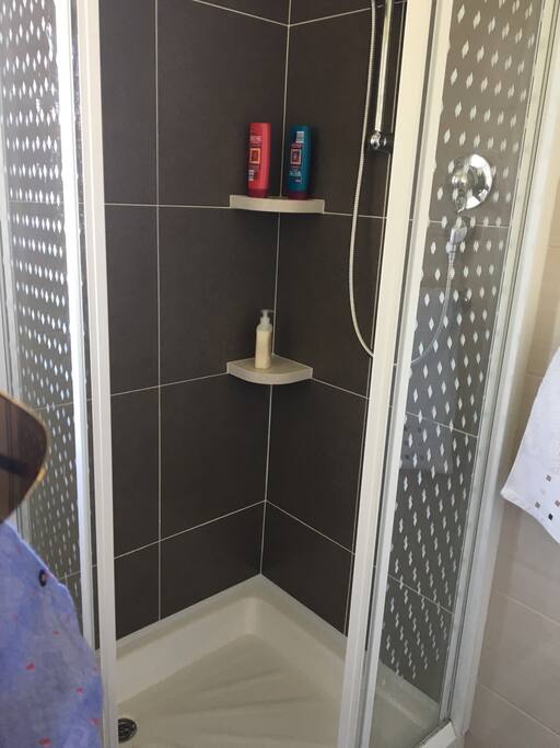 Downstairs s ensuite with shower