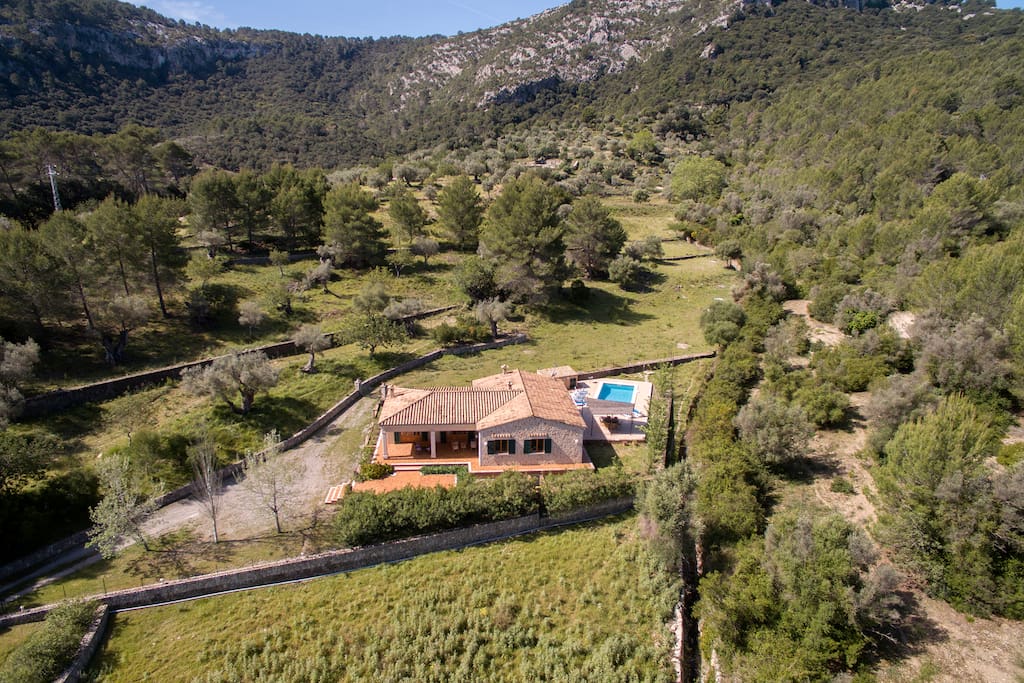 Aerial View of the Property