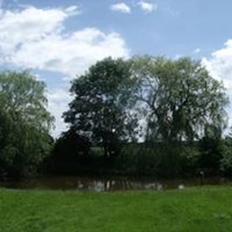listing_image