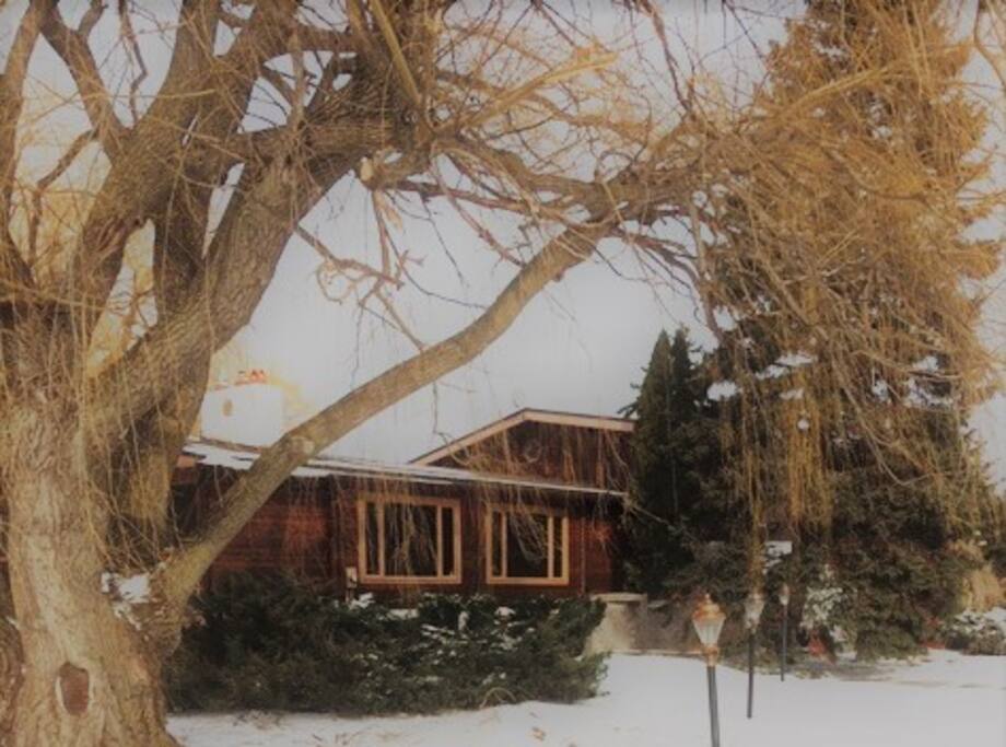 Walk to the Ski Hills from the Cottage