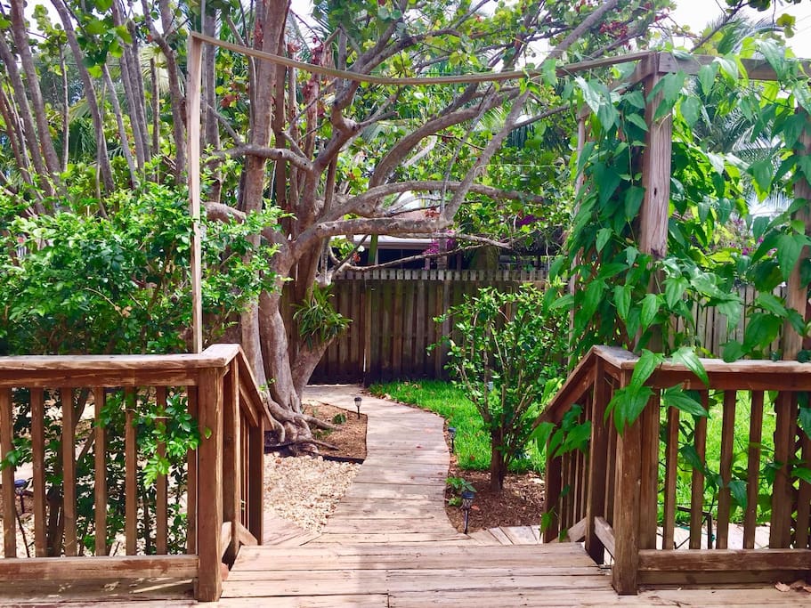 Beautiful garden oasis in Hollywood, Florida