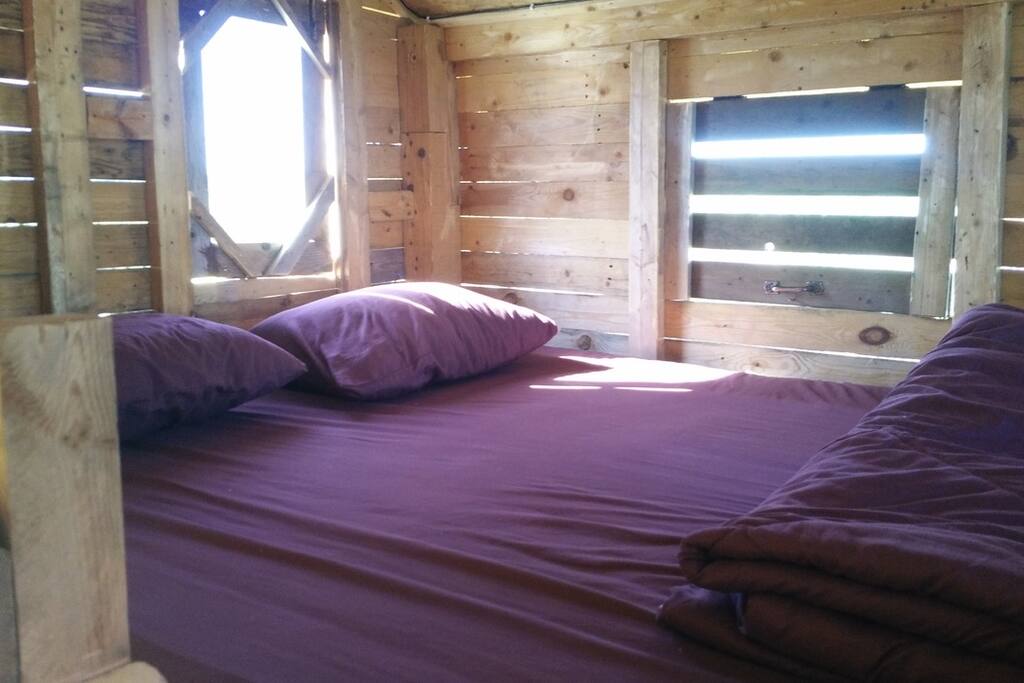 The bunk bed
