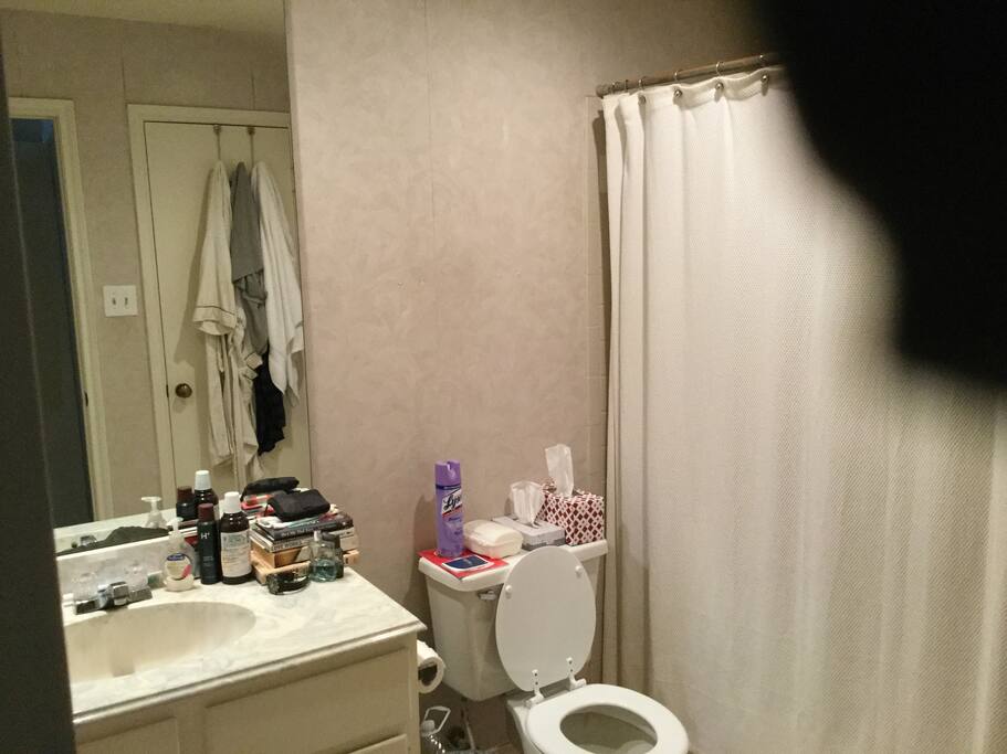 Master Bath