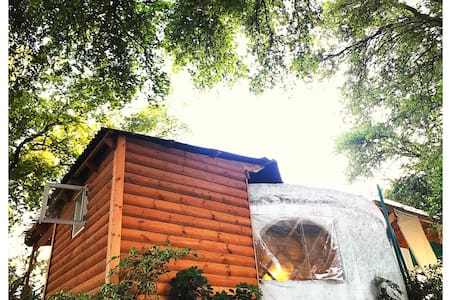 Mongolian Yurt with Ocean View