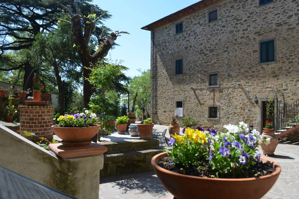 Yard