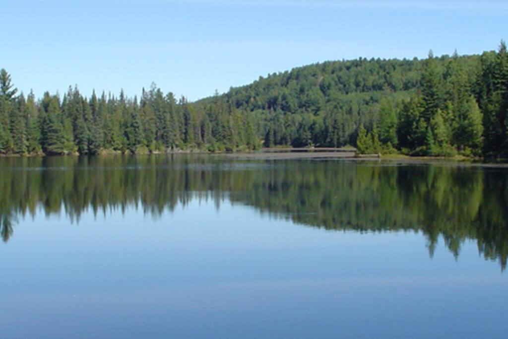 Lac Pierre en été