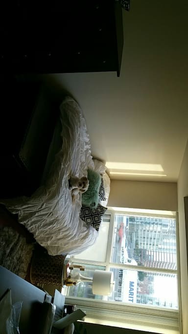 Comfortable bed, with view of the CN tower!