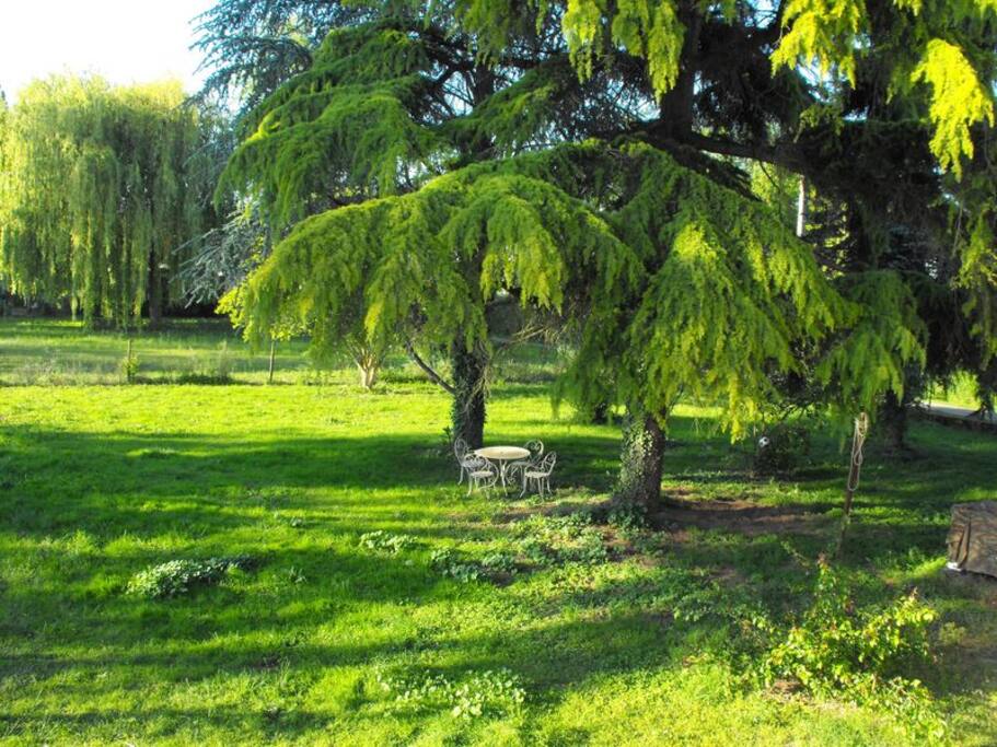 Le lieu idéal pour se protéger du soleil...