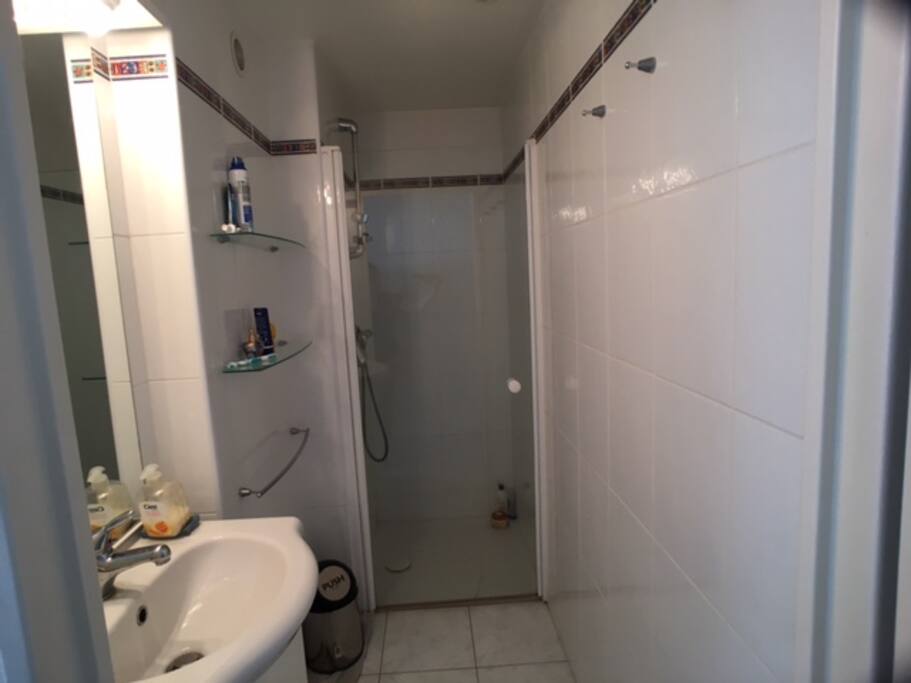 Salle d'eau (Douche-Vasque)