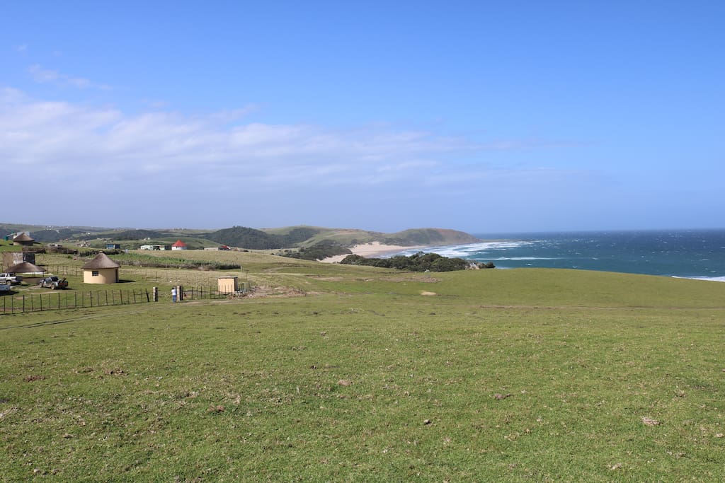 Beach view