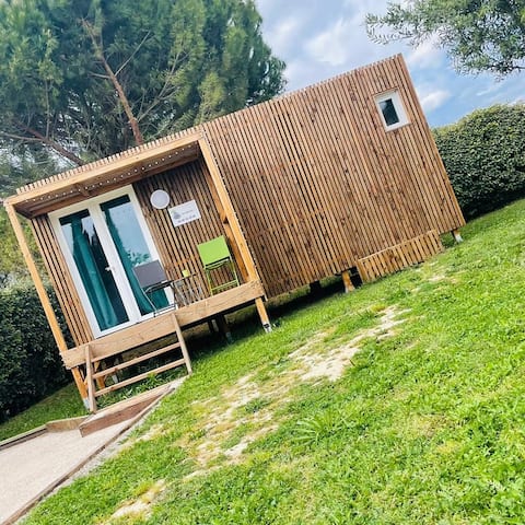 Friendliness Simplicity Smiles Relaxation Wellness