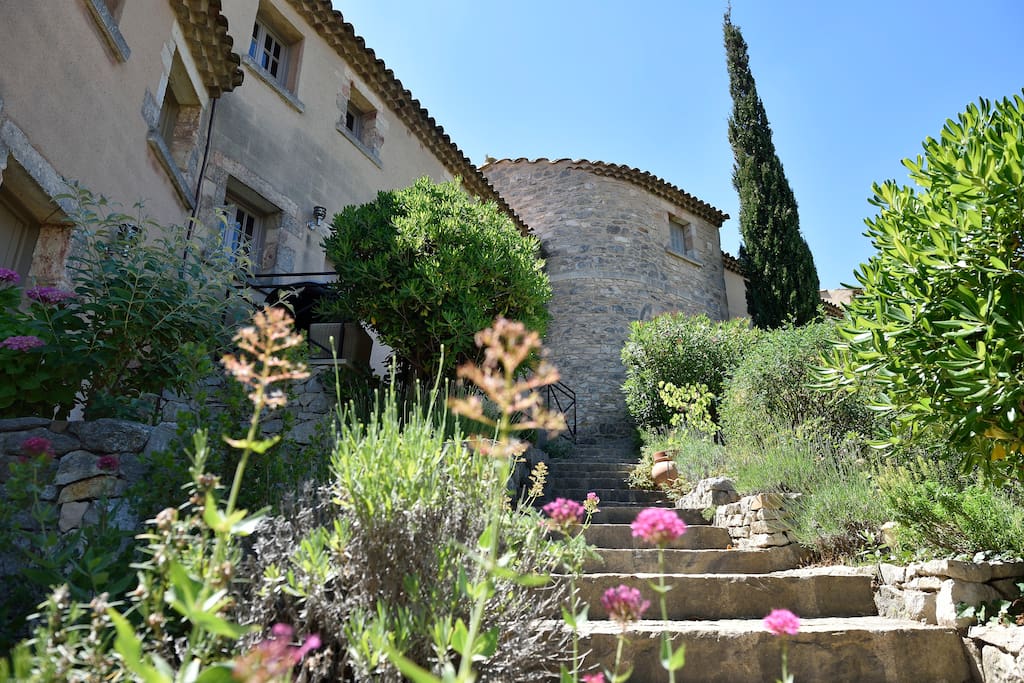 Grand jardin paysagé