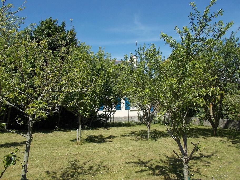 Grand verger de 500 m2 devant la maison.