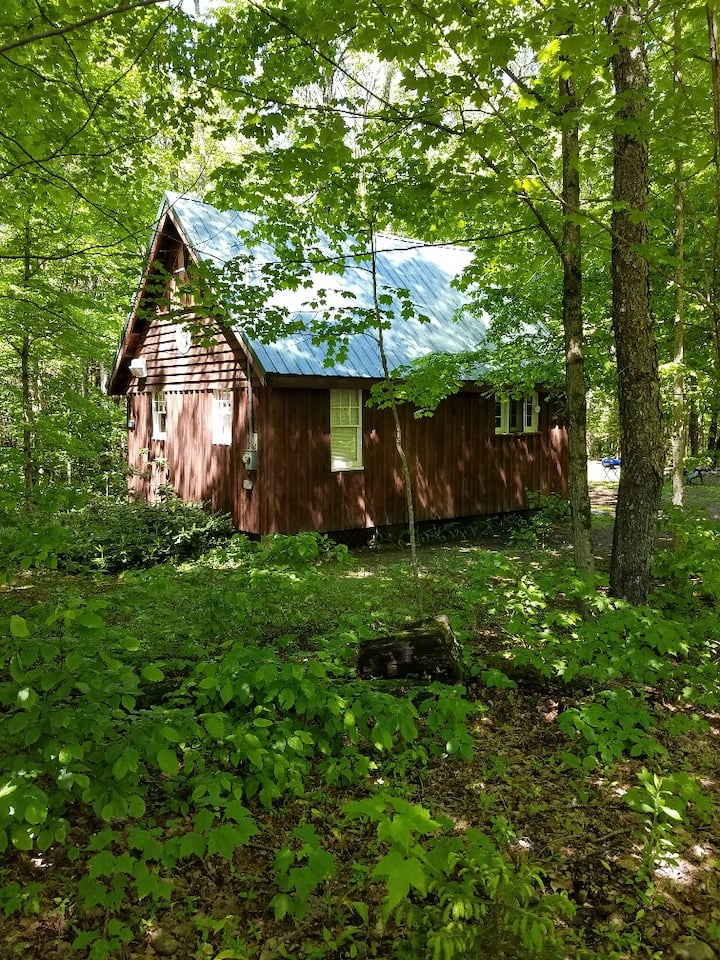 Rustic Cabin In Redfield, Near Pulaski Cabins for Rent in Redfield