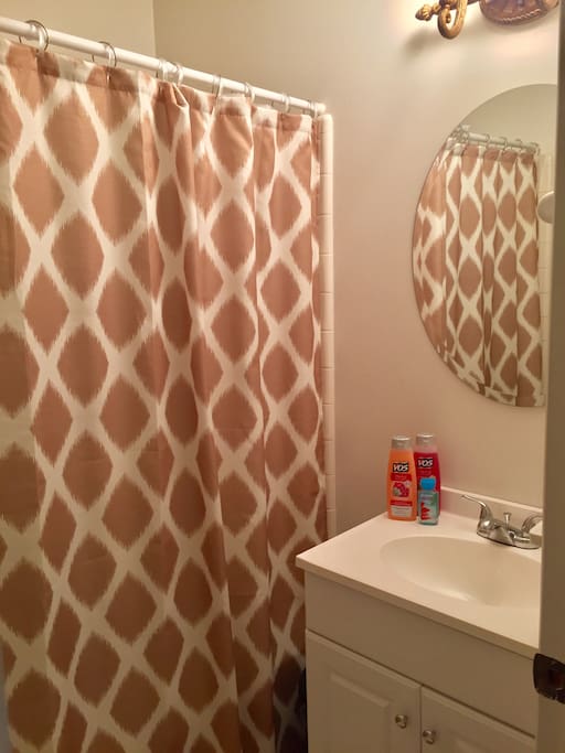 Guest bathroom
