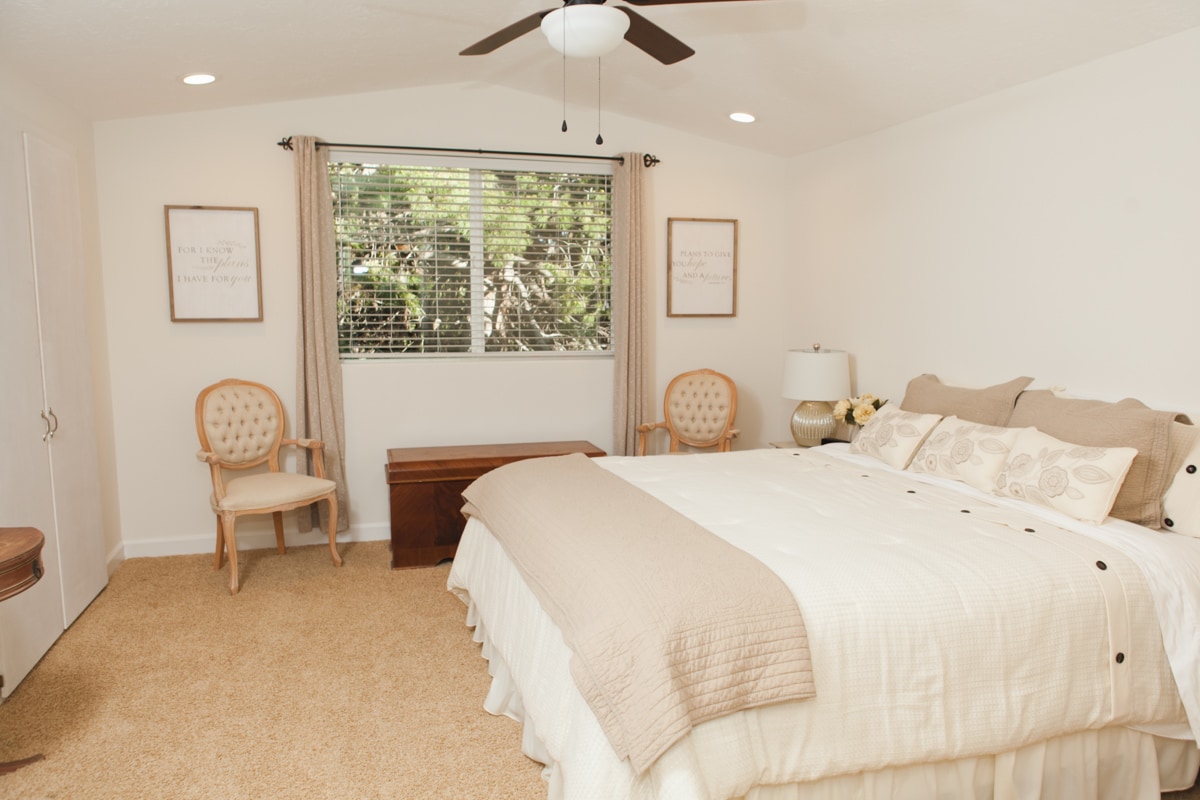 卧室窗外有一棵成熟的松树，您可以尽情享受-照片来自上一篇文章