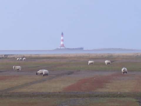 Tümlauer-Koog home with a view