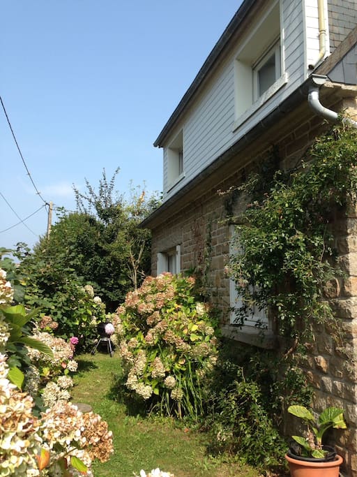 Notre jardin, avec ses rosiers et hortensias
