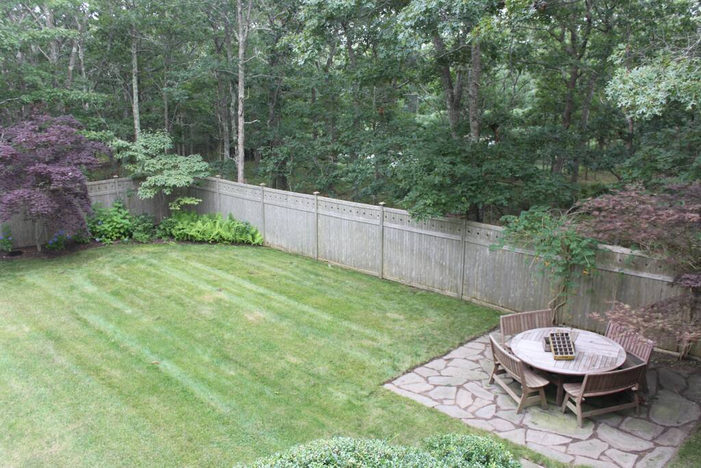 Backyard