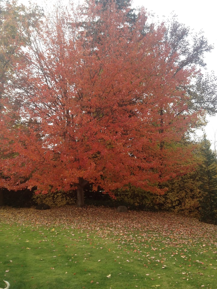 9 Best Airbnb Vacation Rentals In Walla Walla, Washington Updated 2024 Trip101