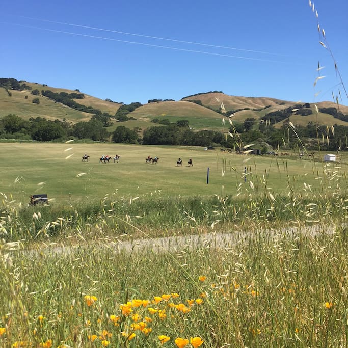 View to Polo Field from the House