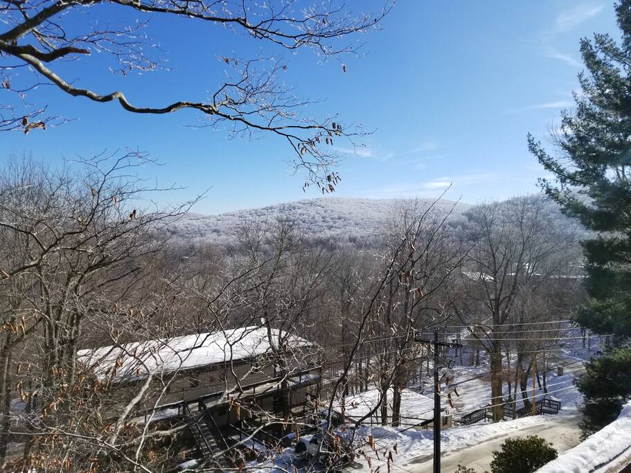view from the deck