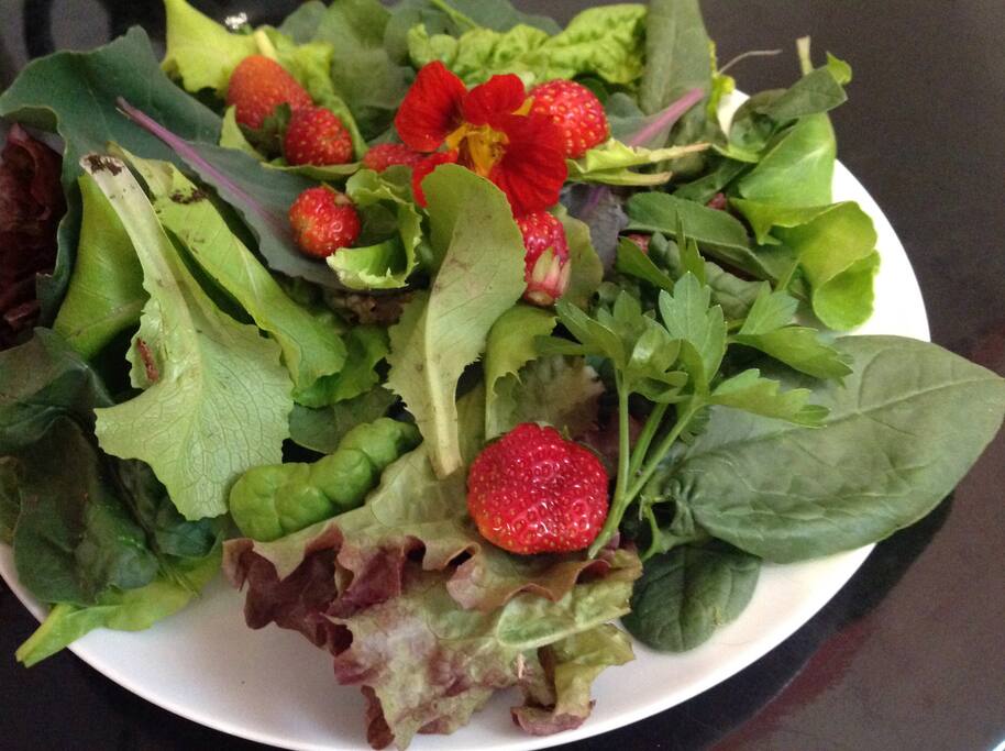 From our organic garden