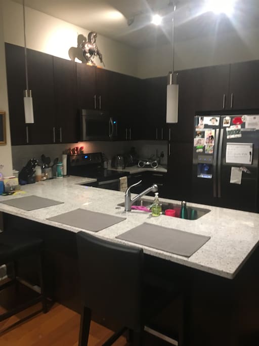 Modern kitchen with dishwasher, garbage disposal and large refrigerator.