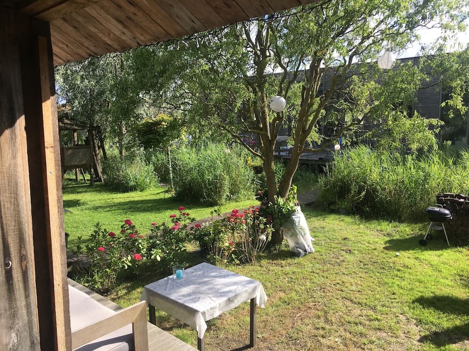 The garden