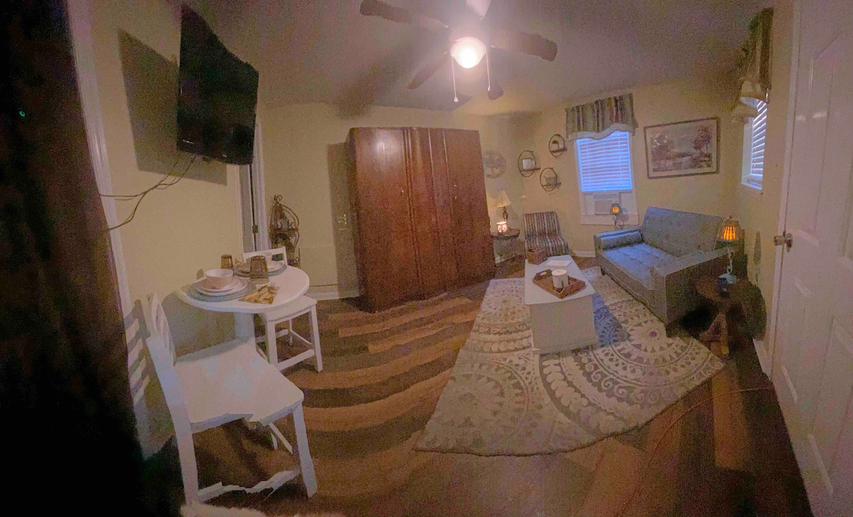 Successful Airbnb property: Guesthouse by the Flint! in Albany