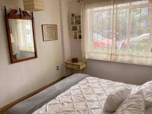 Cozy apartment in Condesa. gallery image 4