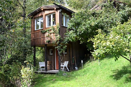 Im Wald und doch zentrumnah