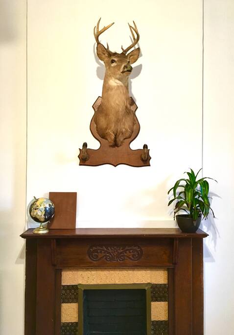 Handsome buck