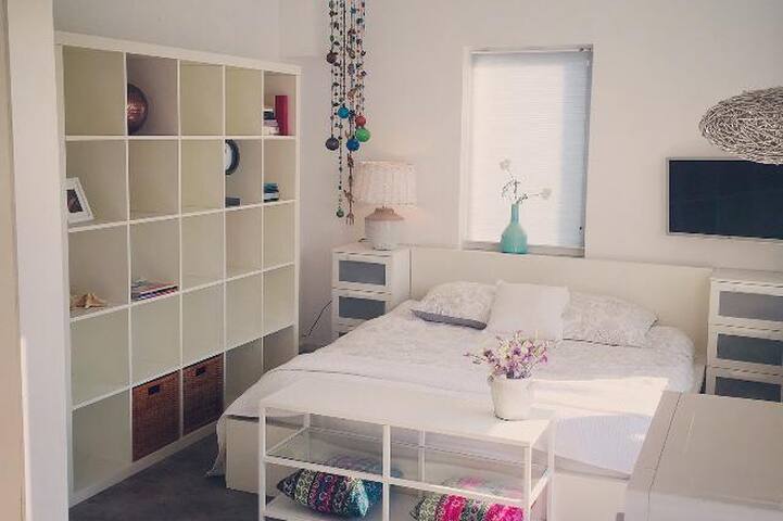 Giethoorn, City-center Steenwijk