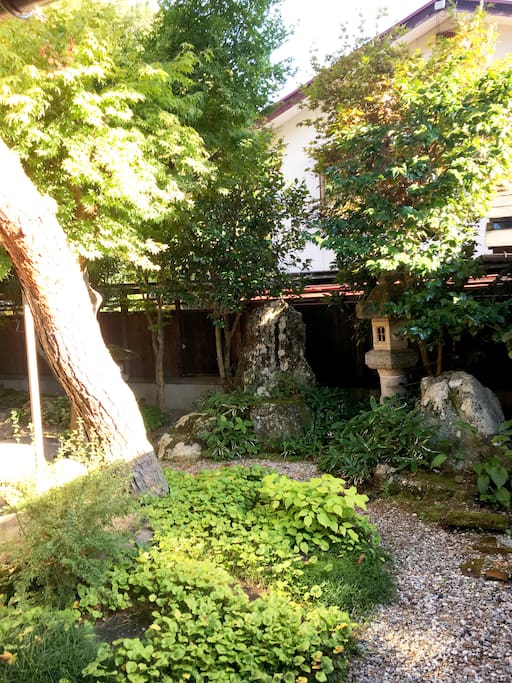 In summer you can admire the green beautiful garden.