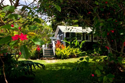 Ocean View Cottage, Hot Tub, Private Guest Ranch