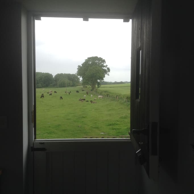 View from half stable door