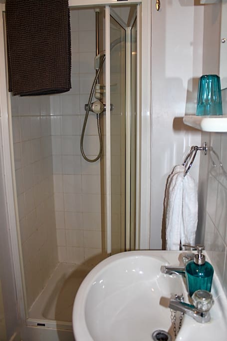 Ensuite shower room