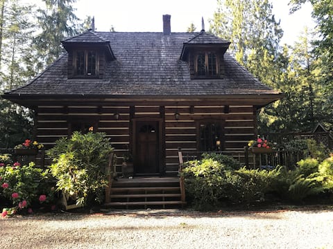 Cozy Log Cabin