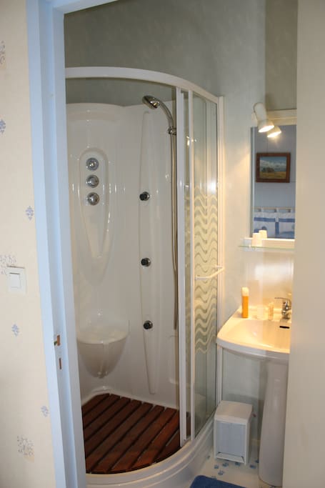 Salle de bain / douche attenante à la chambre